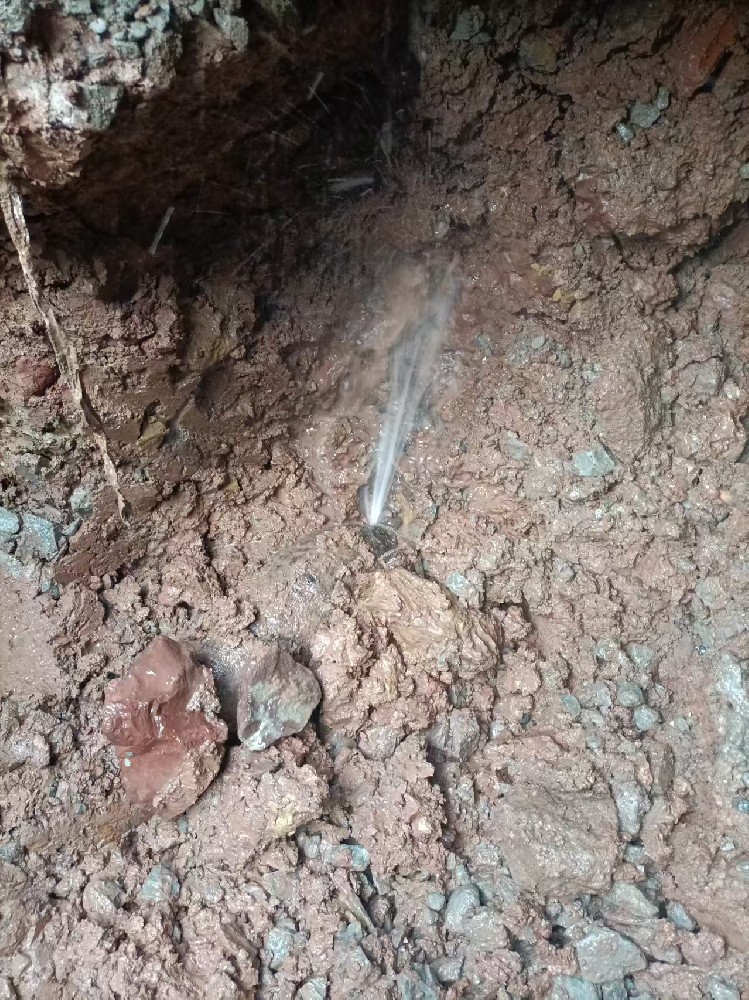 望都县本地服务：自来水管漏水检测维修