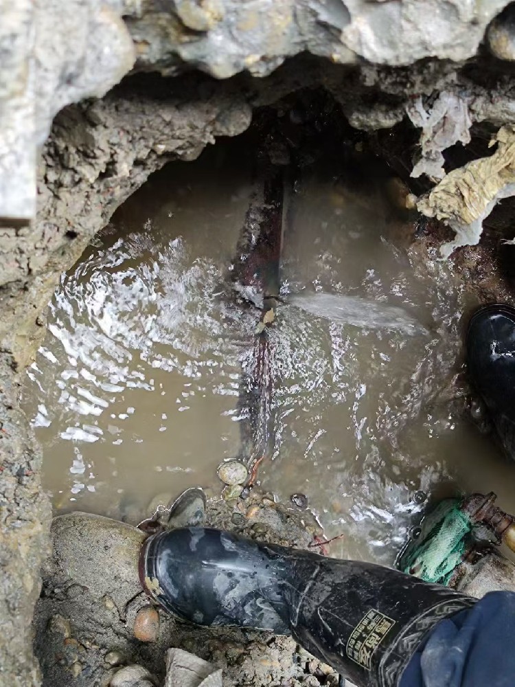望都地区绿化水管漏水检测维修